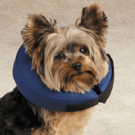 Total Pet Health Inflatable Collar (Color: Blue, size: XL)