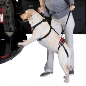 Total Pet Health Lift & Go Lead (Color: Red, size: XL)