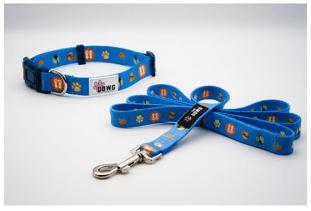 Dog Collar And Leash Set (Color: Beach Blue, size: Small/Medium)