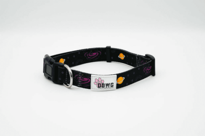 The Dowg Dog Collar (Color: Canine and Cosmos, size: Medium/Large)