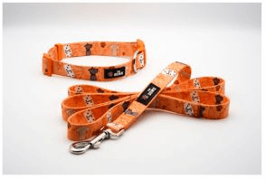 Dog Collar And Leash Set (Color: Caribbean Canine, size: L)