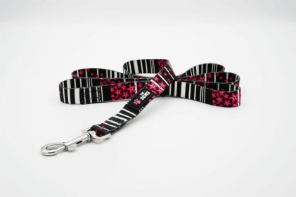 The Dowg Dog Leash (Color: Pink Petals, size: large)