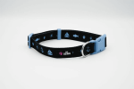 The Dowg Dog Collar