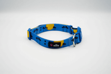 The Dowg Dog Collar (Color: Sky Blue, size: S)