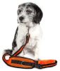 Pet Life Echelon Hands Free And Convertible 2-In-1 Training Dog Leash And Pet Belt With Pouch