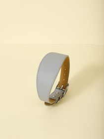 New Pet Casual Adjustable Collar (Option: Gray-M)